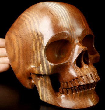 Super Realistic! Lifesized 6.1" Australian Print Stone Hand Carved Crystal Skull, Crystal Healing