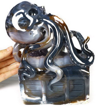 7.6" Premium Brazilian Agate Hand Carved Crystal Octopus Skull Fine Art Sculpture, Crystal Healing