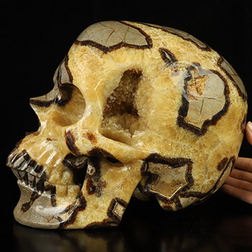 38.4LB Titan 12.0" Dragon Septarian Stone Hand Carved Crystal Skull, Super Realistic, Crystal Healing