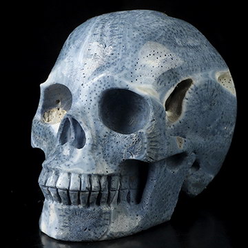 5.1" Blue Ridge Coral Hand Carved Crystal Skull, Realistic, Crystal Healing