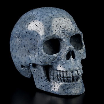 1.9" Blue Ridge Coral Hand Carved Crystal Skull, Realistic, Crystal Healing