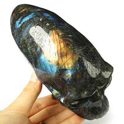 6.1" Labradorite Hand Carved Crystal Elongated Mayan Alien Skull with Spine Sculpture, Crystal Healing