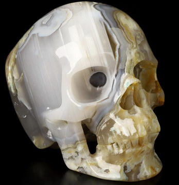 Gemstone Super Realistic! Lifesized 6.3" Sakura Agate Hand Carved Crystal Skull, Crystal Healing