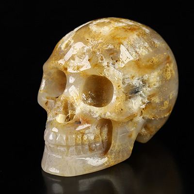 1.1" Coral Fossil Hand Carved Crystal Skull, Realistic, Crystal Healing