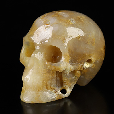 1.1" Coral Fossil Hand Carved Crystal Skull, Realistic, Crystal Healing