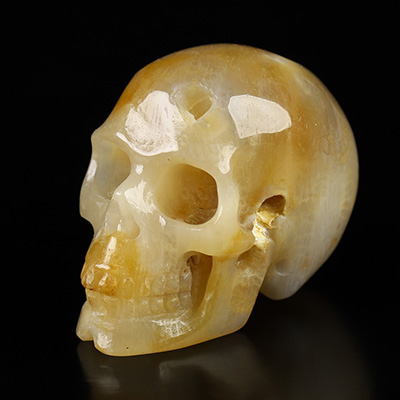1.1" Coral Fossil Hand Carved Crystal Skull, Realistic, Crystal Healing