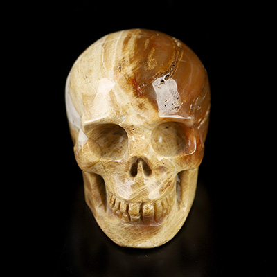 1.1" Petrified Wood Hand Carved Crystal Skull, Realistic, Crystal Healing