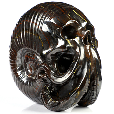 5.7" Colorful Tiger Iron Eye Hand Carved Nautiloid Cthulhu Crystal Skull Sculpture, Crystal Healing
