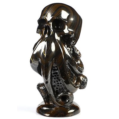7.4" Colorful Tiger Iron Eye Hand Carved Nautiloid Cthulhu Crystal Skull Sculpture, Crystal Healing