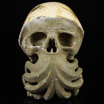 6.7" Ammonite Fossil Hand Carved Crystal Skull Fine Art Sculpture, Crystal Healing