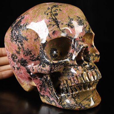 Super Realistic! Lifesized 6.9" Pink & Black Rhodonite Hand Carved Crystal Skull, Crystal Healing