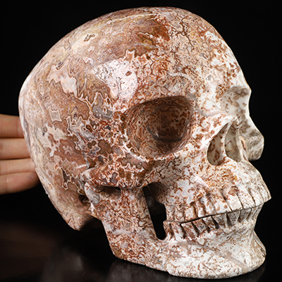 Super Realistic! Lifesized 7.0" Lace Jasper Hand Carved Crystal Skull, Crystal Healing