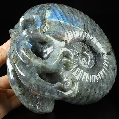 5.7" Labradorite Hand Carved Nautiloid Cthulhu Crystal Skull Sculpture, Crystal Healing