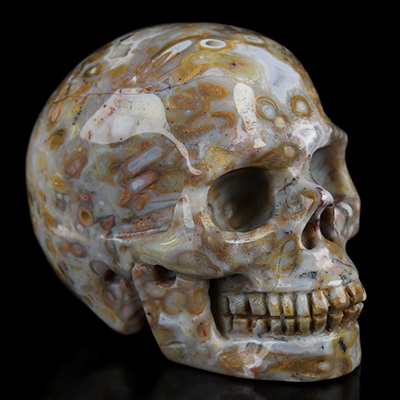 2.0" Bug Fossil Agate Hand Carved Crystal Skull, Realistic, Crystal Healing