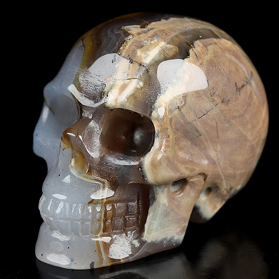 2.0" Dinosaur Egg Agate Hand Carved Crystal Skull, Realistic, Crystal Healing
