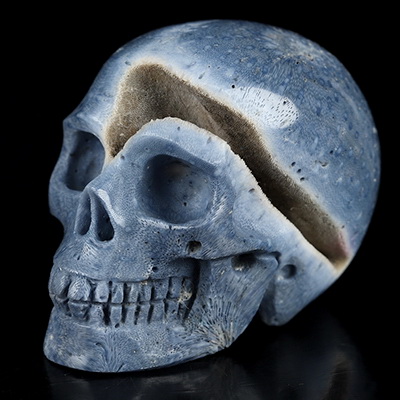 2.0" Blue Ridge Coral Hand Carved Crystal Skull, Realistic, Crystal Healing