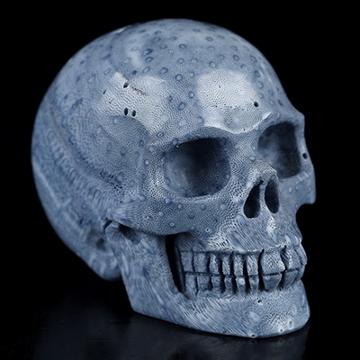 1.8" Blue Ridge Coral Hand Carved Crystal Skull, Realistic, Crystal Healing