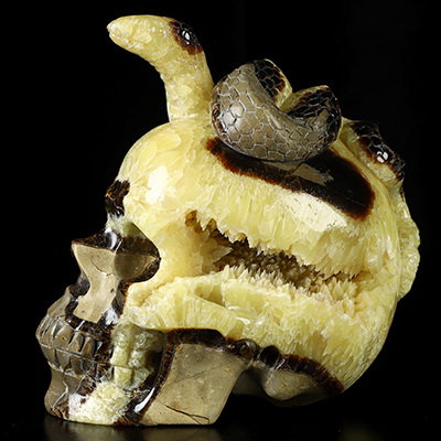 5.9" Dragon Septarian Stone Geode Hand Carved Crystal Skull with Snake Fine Art Sculpture, Crystal Healing