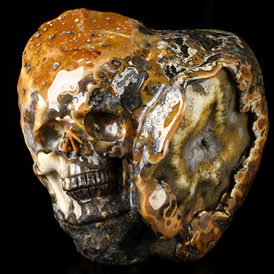 6.0" Ocean Jasper Hand Carved Crystal Skull Fine Art Sculpture, Crystal Healing