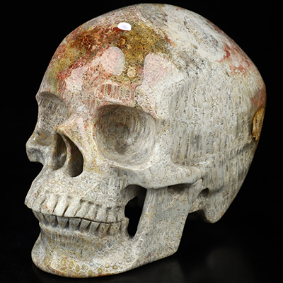 Rare Red Color, 6.1" Coral Fossil Hand Carved Crystal Skull, Crystal Healing