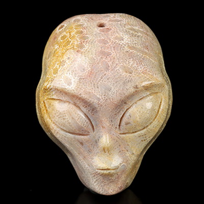 2.2" Coral Fossil Hand Carved Crystal Skull Pendant, Crystal Healing