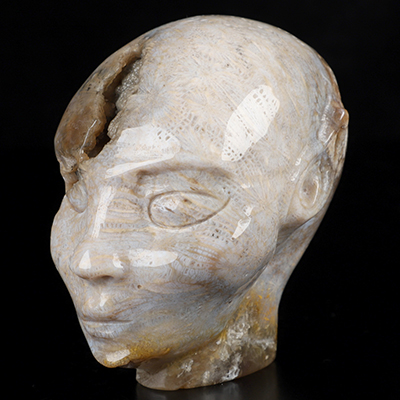 3.7" Coral Fossil Hand Carved Fairy Elf Alien Crystal Skull Companion Sculpture, Crystal Healing