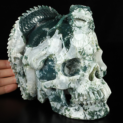 6.3" Green Moss Agate Hand Carved Crystal Skull and Dragon Fine Art Sculpture, Crystal Healing