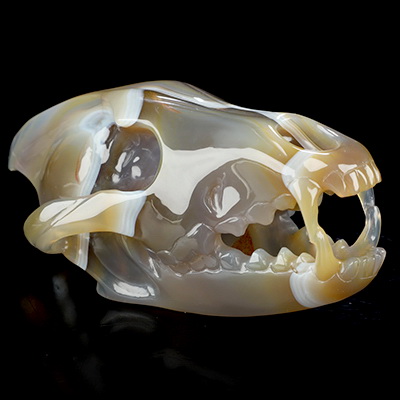 6.1" Premium Brazilian Agate Hand Carved Crystal Wolf Skull Sculpture, Crystal Healing