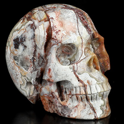 Gemstone 4.8" Red Crazy Lace Agate Hand Carved Crystal Skull, Realistic, Crystal Healing