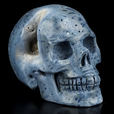 2.0" Blue Ridge Coral Hand Carved Crystal Skull, Realistic, Crystal Healing