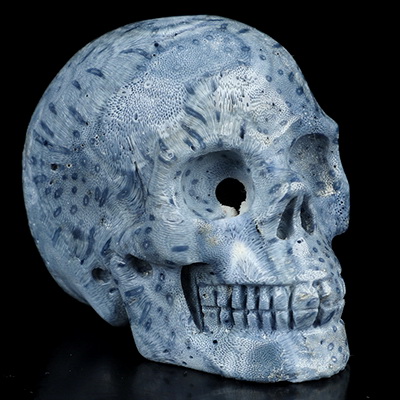 2.0" Blue Ridge Coral Hand Carved Crystal Skull, Realistic, Crystal Healing
