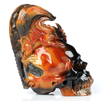 3.7" Empire Red Agate Hand Carved Crystal Skull and Dragon Fine Art Sculpture, Crystal Healing