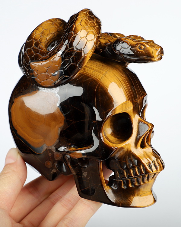 4.6" Gold Tiger's Eye Hand Carved Crystal Skull and Snake Sculpture, Crystal Healing