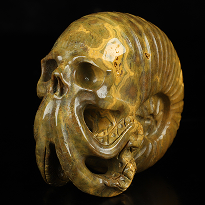 3.6" Ocean Jasper Hand Carved Nautiloid Cthulhu Crystal Skull Sculpture, Crystal Healing