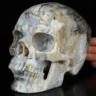 Super Realistic! Lifesized 6.1" Sagenitic Agate Hand Carved Crystal Skull, Crystal Healing