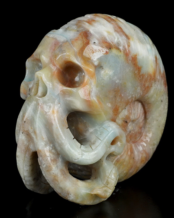 5.7" Chinese Amazonite Hand Carved Nautiloid Cthulhu Crystal Skull Sculpture, Crystal Healing