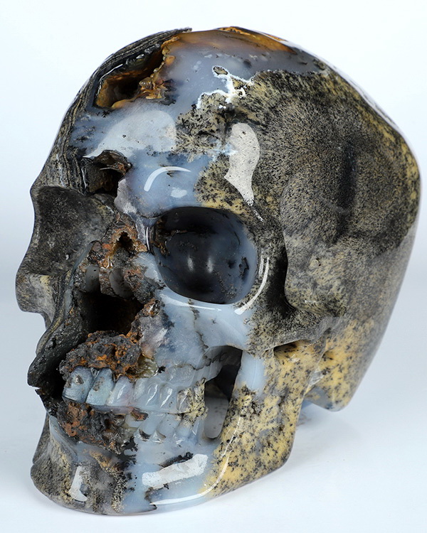 5.9" Sagenitic Agate Hand Carved Crystal Skull, Crystal Healing