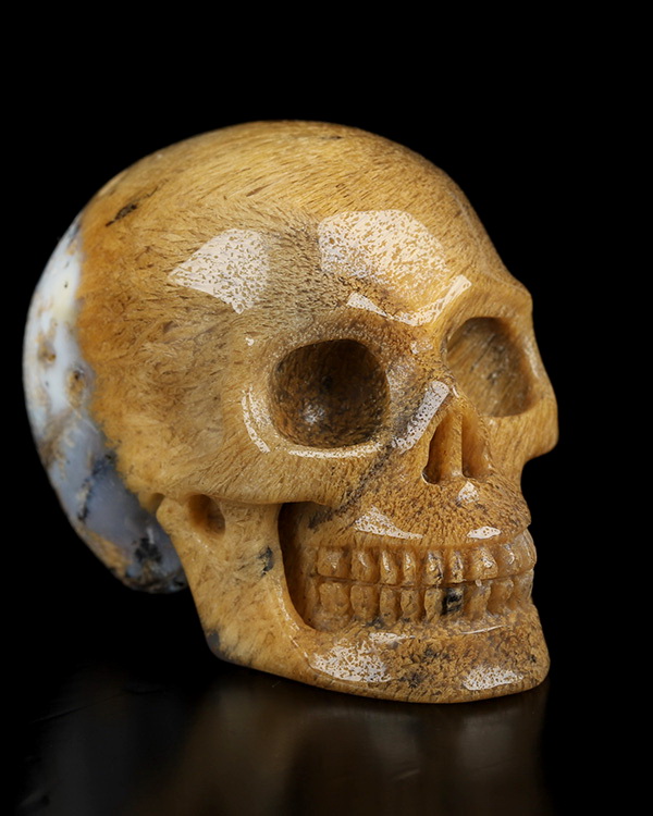 2.0" Sagenitic Agate Hand Carved Crystal Skull, Realistic, Crystal Healing