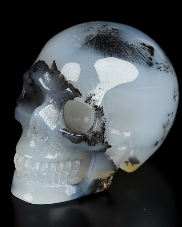 2.0" Sagenitic Agate Hand Carved Crystal Skull, Realistic, Crystal Healing