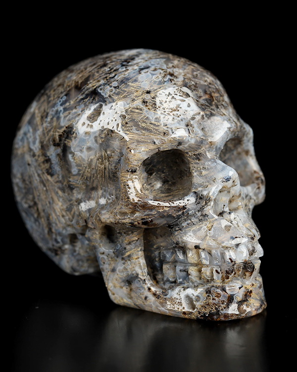 2.0" Sagenitic Agate Hand Carved Crystal Skull, Realistic, Crystal Healing