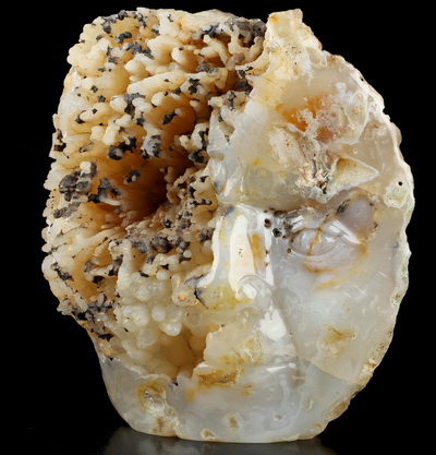 6.7" Agate Hand Carved Crystal Skull Fine Art Sculpture, Crystal Healing