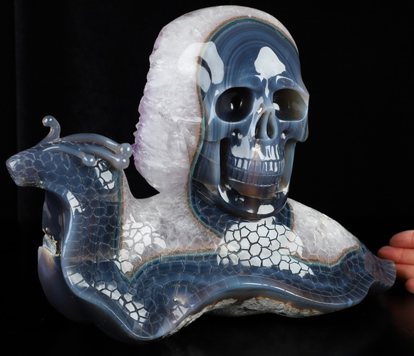 12.1" Agate Amethyst Geode Hand Carved Crystal Skull and Snail Sculpture, Crystal Healing