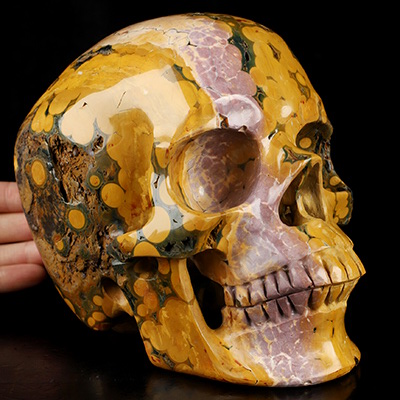 Super Realistic! Lifesized 6.8" Ocean Jasper Hand Carved Crystal Skull, Crystal Healing