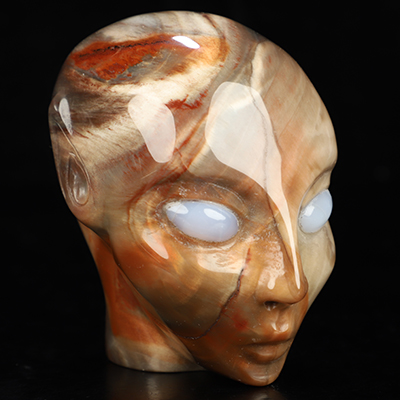 3.3" Petrified Wood Hand Carved Fairy Elf Alien Crystal Skull with Blue Chalcedony Eyes Companion Sculpture, Crystal Healing