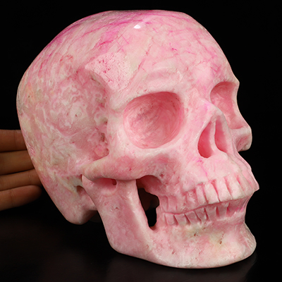 Super Realistic! Lifesized 6.9" Pink Aragonite Hand Carved Crystal Skull, Crystal Healing