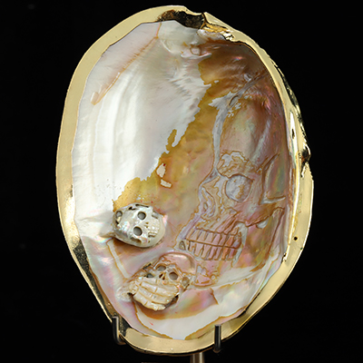 5.6" Shell Hand Carved Crystal Skull Fine Art Sculpture, Crystal Healing