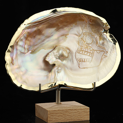 5.7" Shell Hand Carved Crystal Skull Fine Art Sculpture, Crystal Healing
