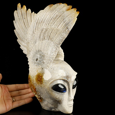 10.2" Coral Fossil Hand Carved Crystal Skull and Wings Fine Art Sculpture, Crystal Healing
