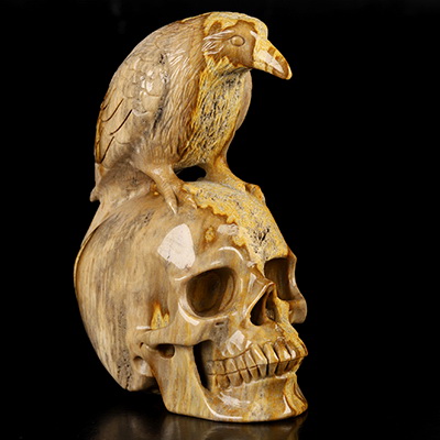 6.4" Coral Fossil Hand Carved Crystal Skull and Raven Sculpture, Crystal Healing