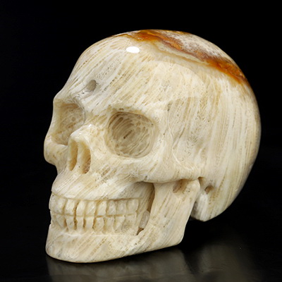 2.0" Coral Fossil Hand Carved Crystal Skull, Realistic, Crystal Healing